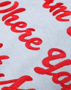 BOYS LIE X I Am Not Where You Left Me V2 Henley Cropped Crewneck -Boys Lie 407A0067copy