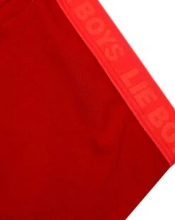 BOYS LIE X Beyond Repair V2 Pant -Boys Lie 4O7A5144