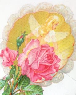 BOYS LIE X White Room To Grow Hoodie -Boys Lie 4O7A5275r1