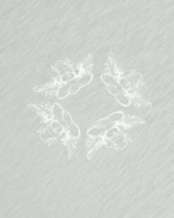 BOYS LIE X Sage Rising Angels Boyfriend Tee -Boys Lie 4O7A5452