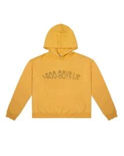 BOYS LIE X Blaze 1-800 Remix Hoodie -Boys Lie 4O7A8909b2copy